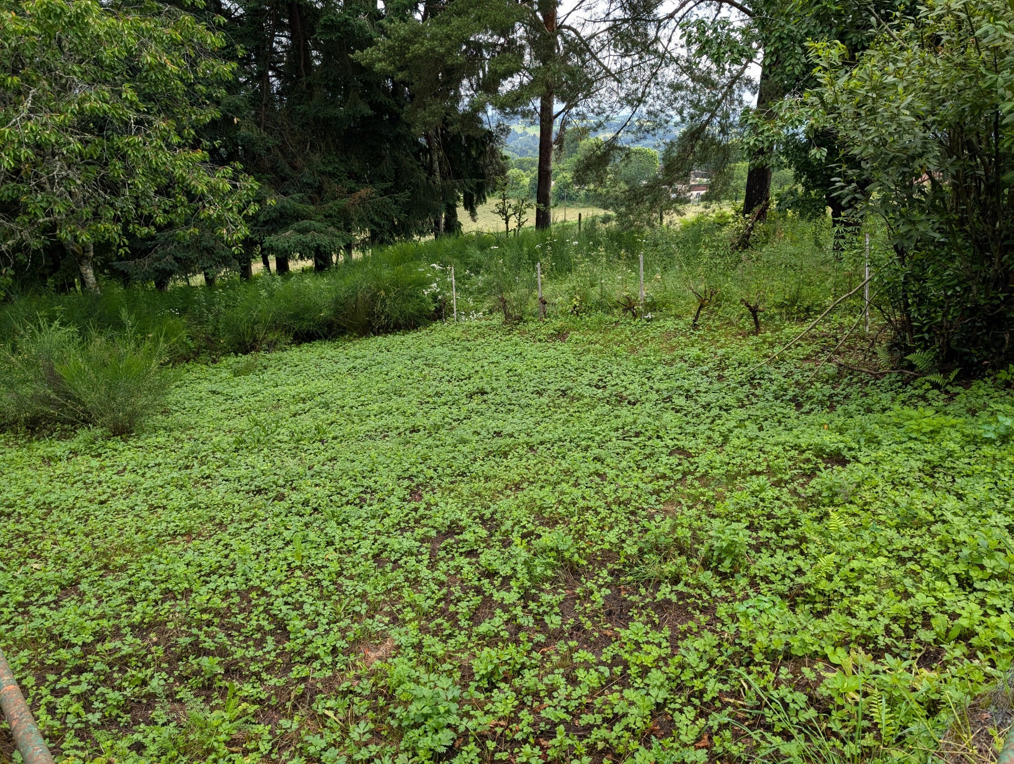 Vente Maison à Chameyrat 5 pièces