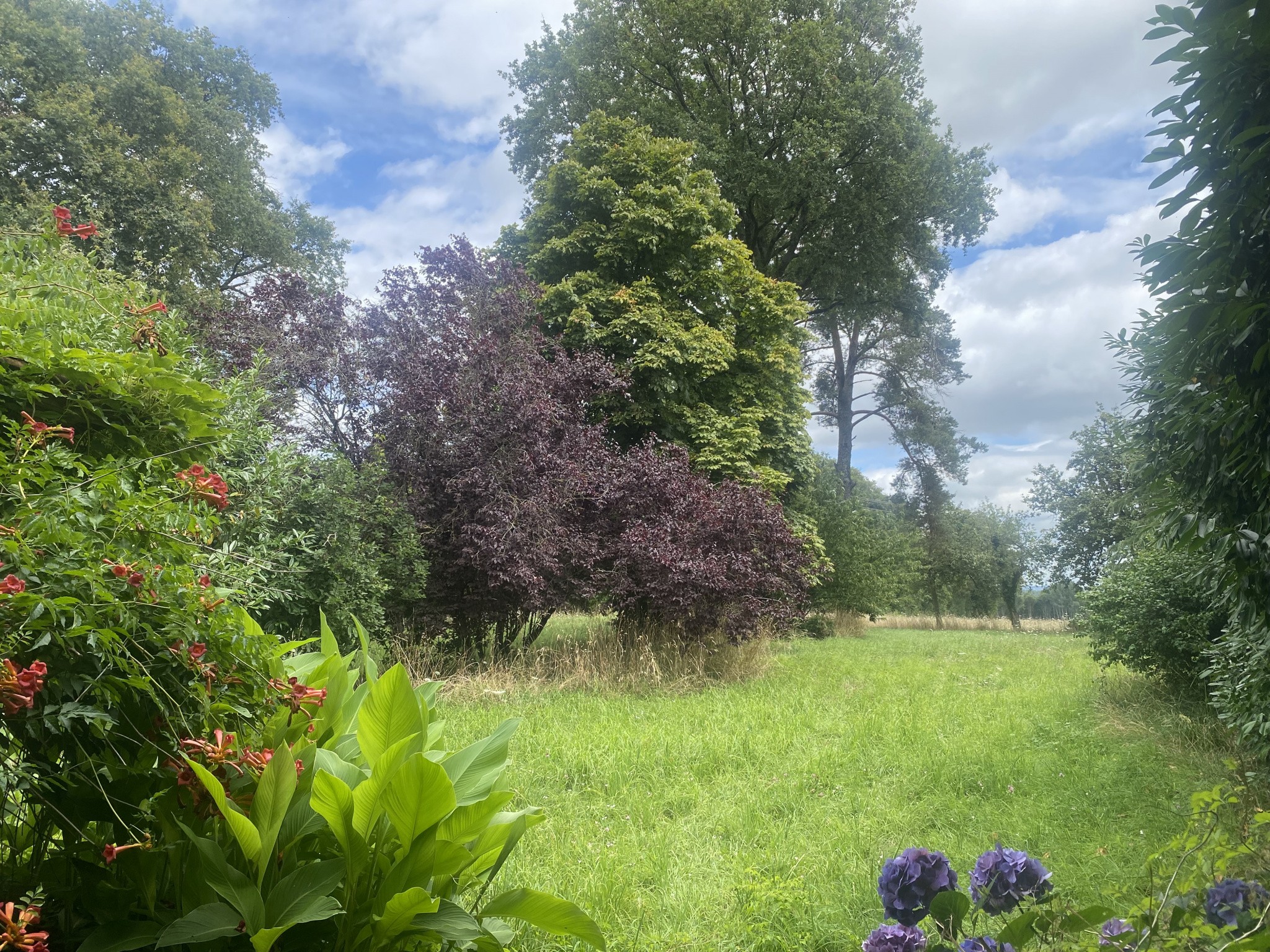 Vente Maison à Saint-Hilaire-la-Treille 10 pièces