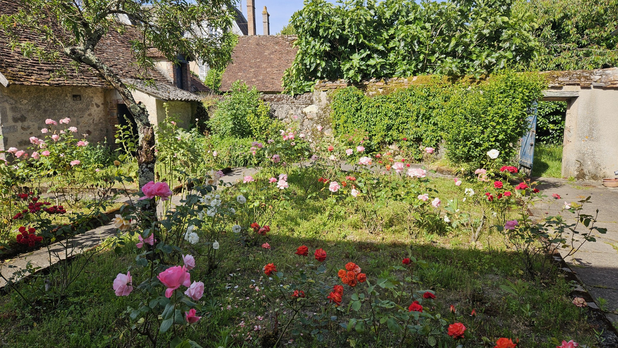 Vente Maison à Lussac-les-Églises 9 pièces