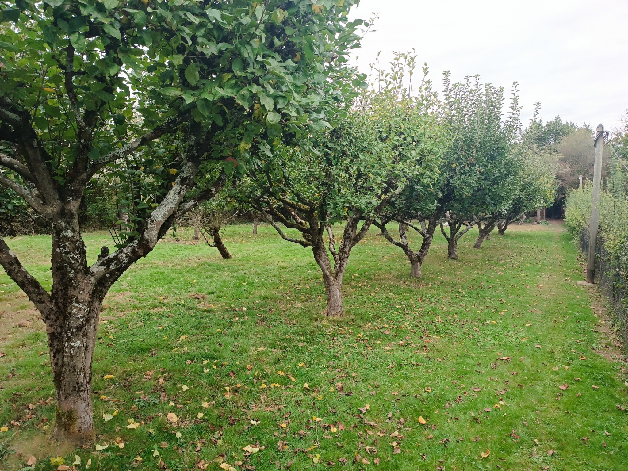 Vente Maison à Bussière-Poitevine 4 pièces