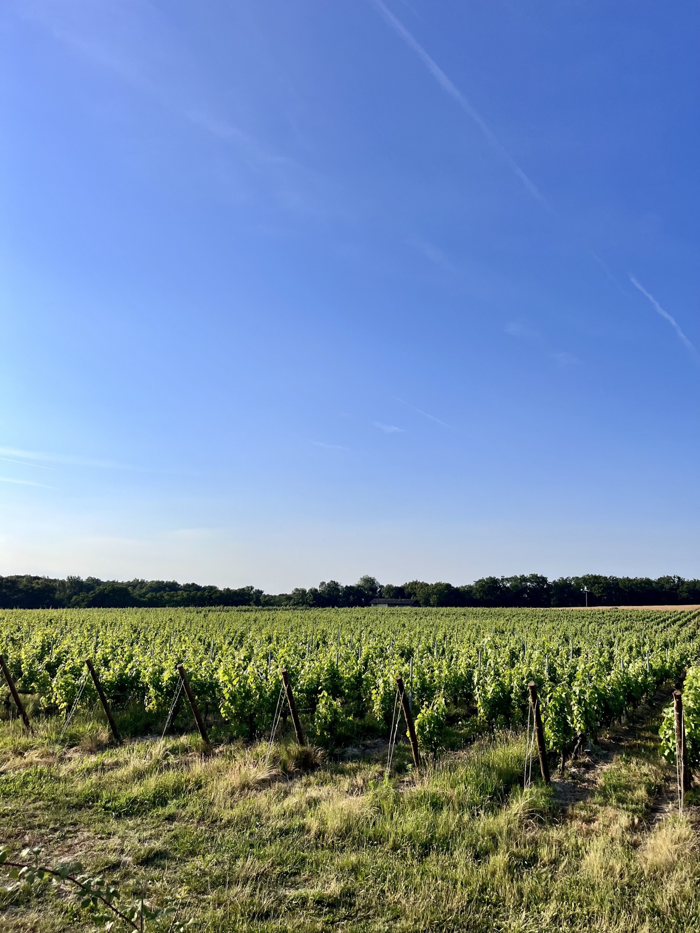 Vente Maison à Langon 5 pièces