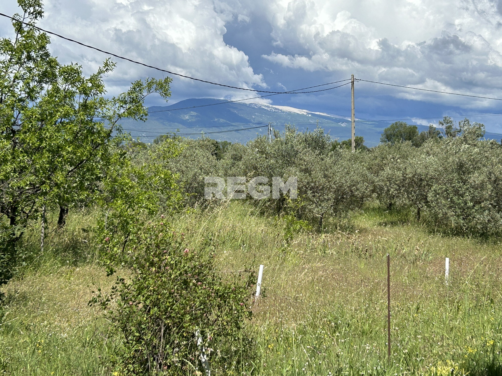 Vente Maison à Carpentras 7 pièces