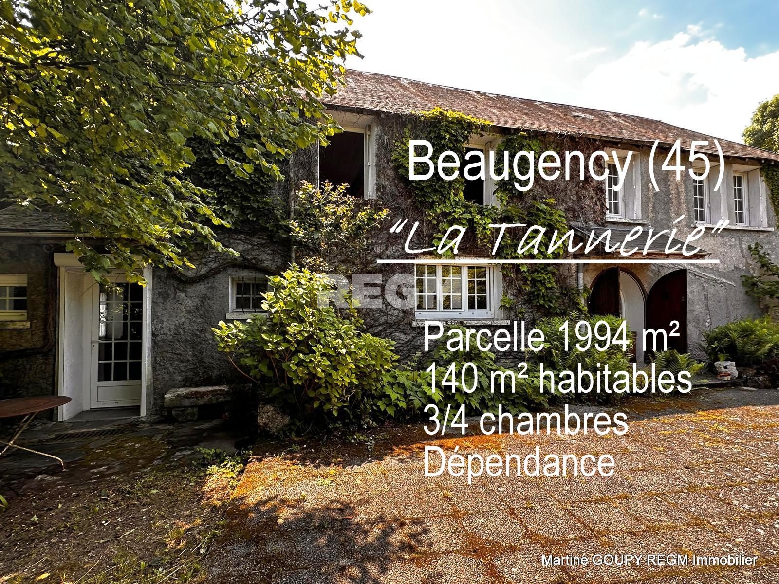 Vente Maison à Beaugency 5 pièces