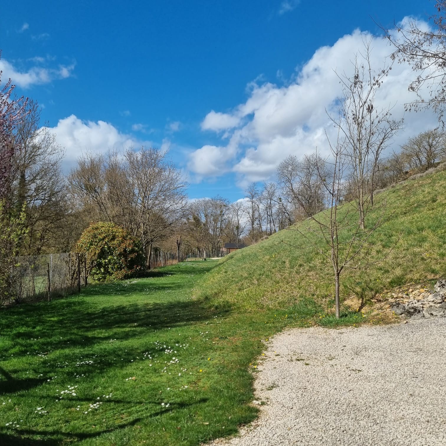 Vente Maison à Nuits-Saint-Georges 6 pièces