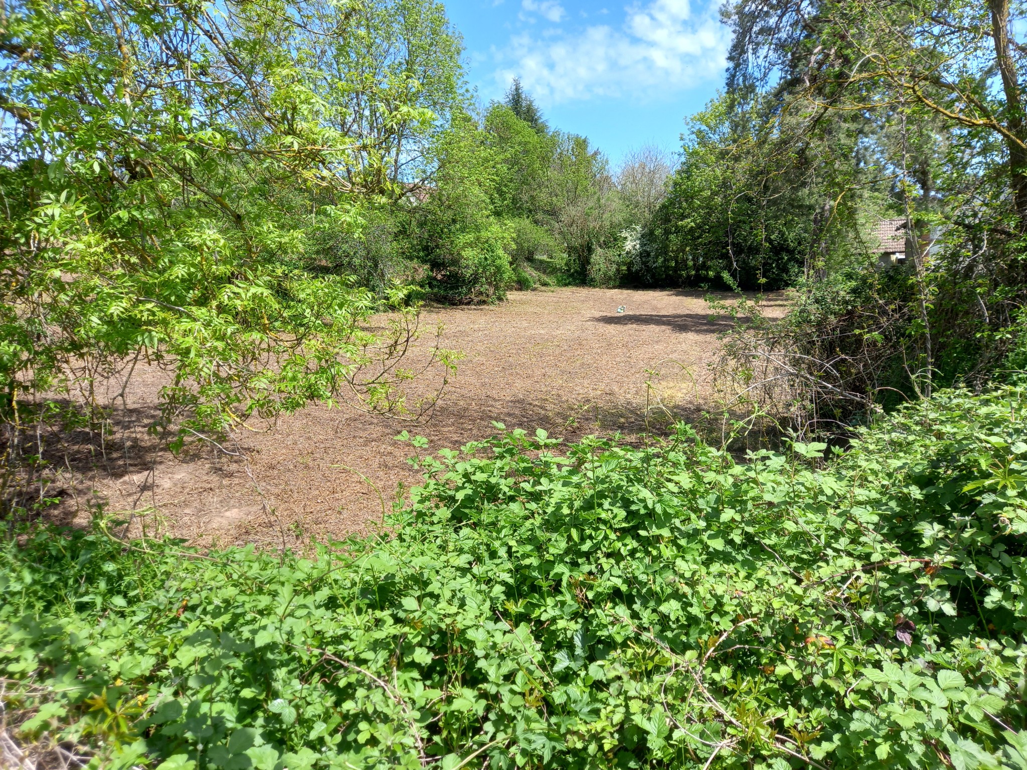 Vente Terrain à Arnay-le-Duc 0 pièce