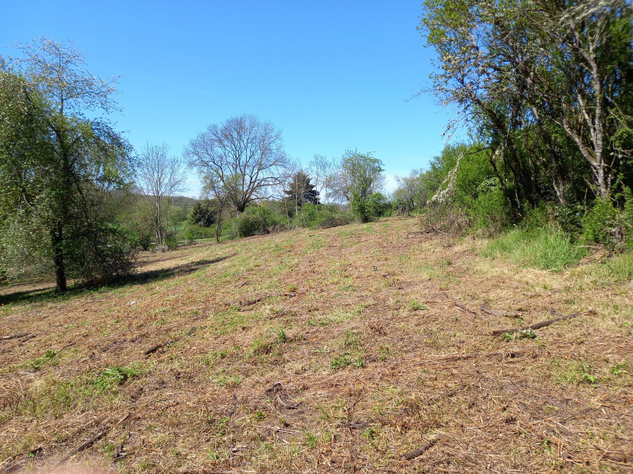 Vente Terrain à Arnay-le-Duc 0 pièce