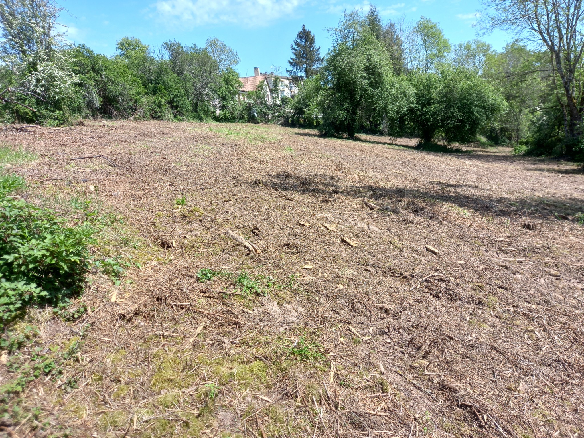 Vente Terrain à Arnay-le-Duc 0 pièce