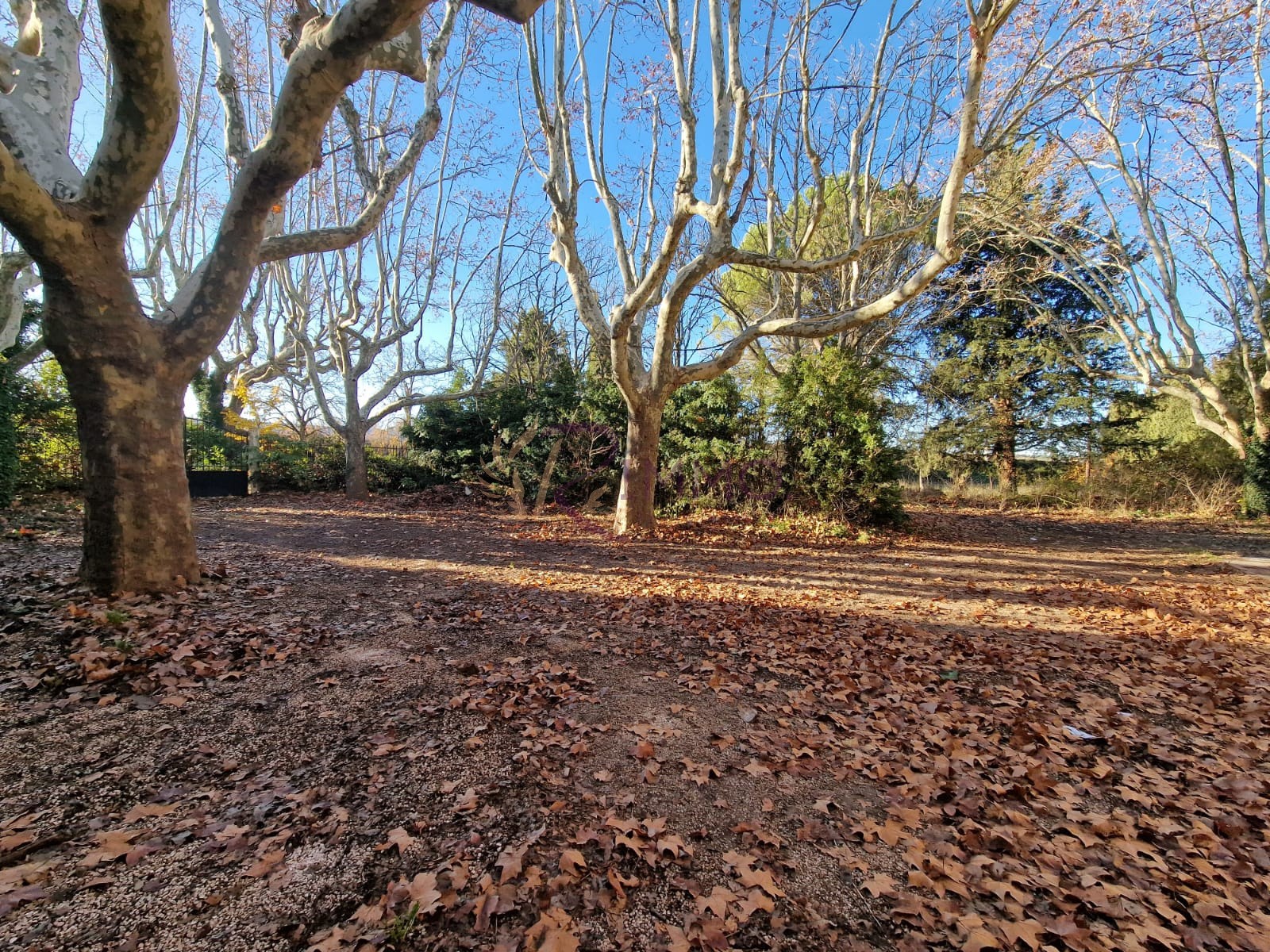 Vente Maison à Aix-en-Provence 15 pièces