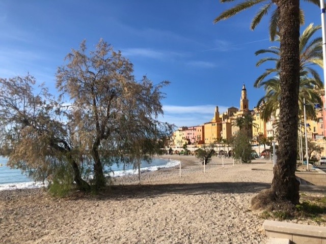 Vente Appartement à Menton 1 pièce