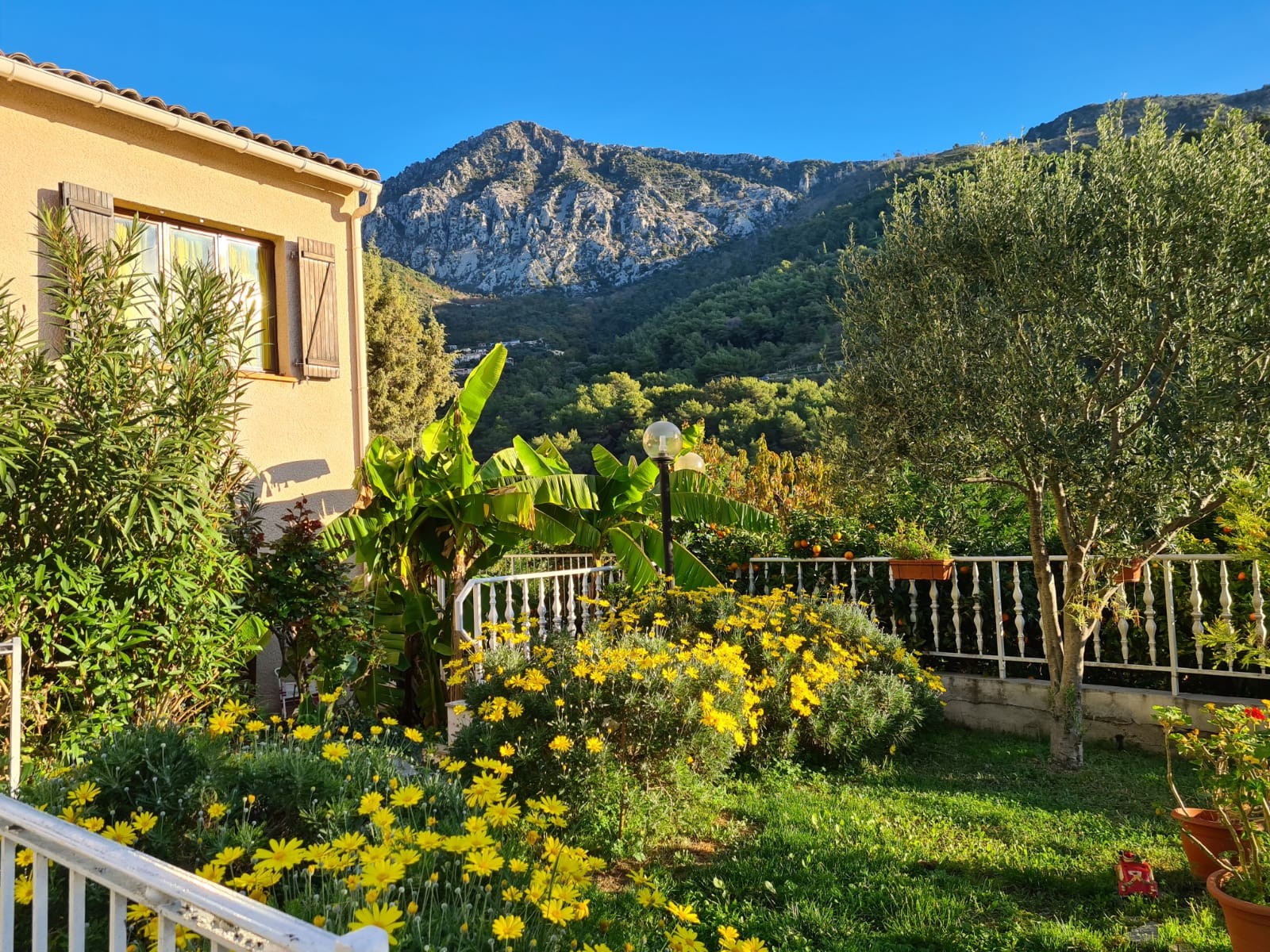 Vente Maison à Menton 5 pièces