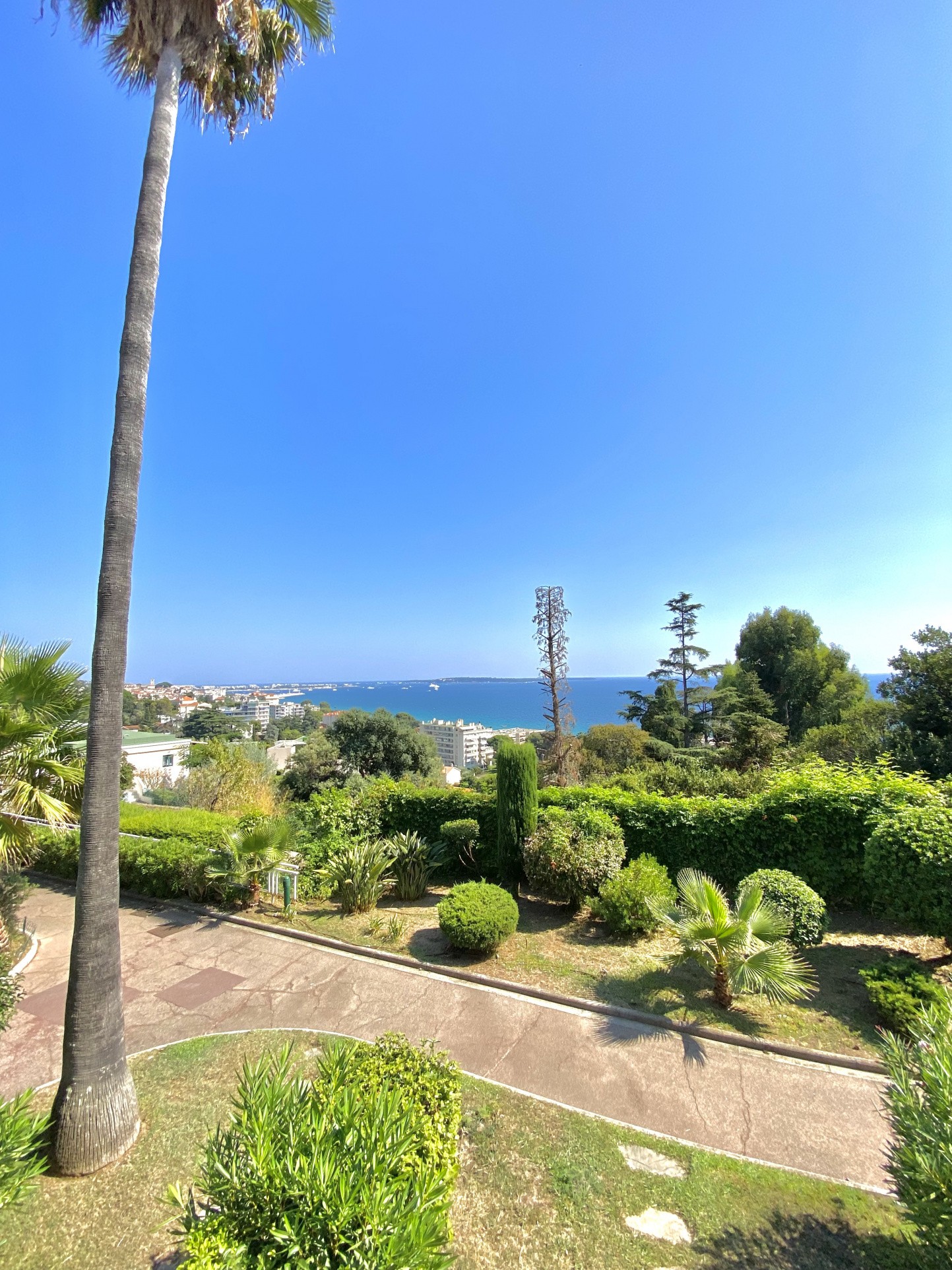 Vente Appartement à Cannes 2 pièces