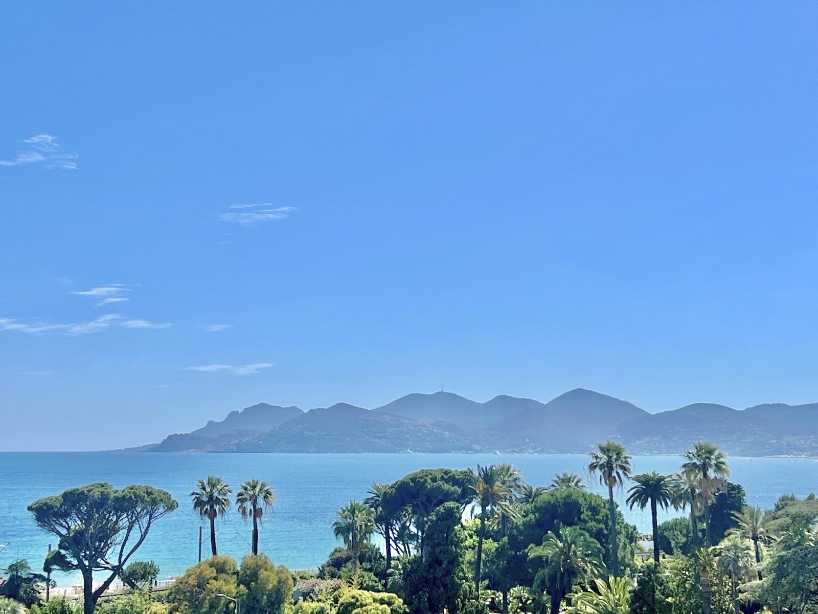 Vente Appartement à Cannes 2 pièces