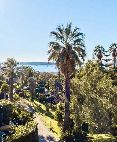 Vente Appartement à Cannes 3 pièces