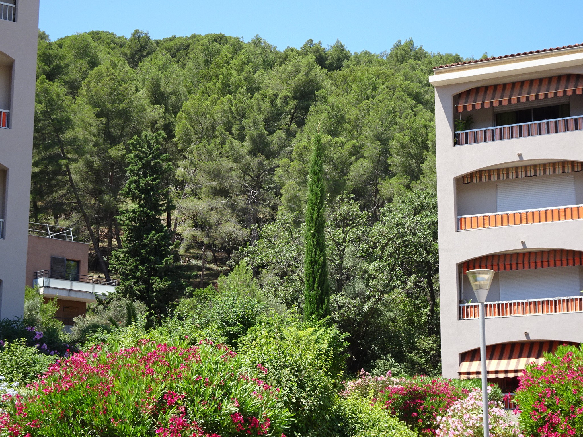 Viager Maison à Hyères 3 pièces