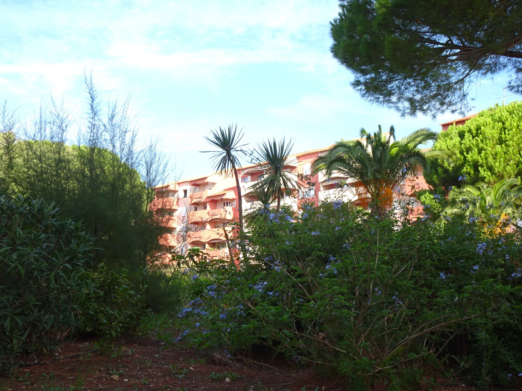 Vente Appartement à Hyères 1 pièce