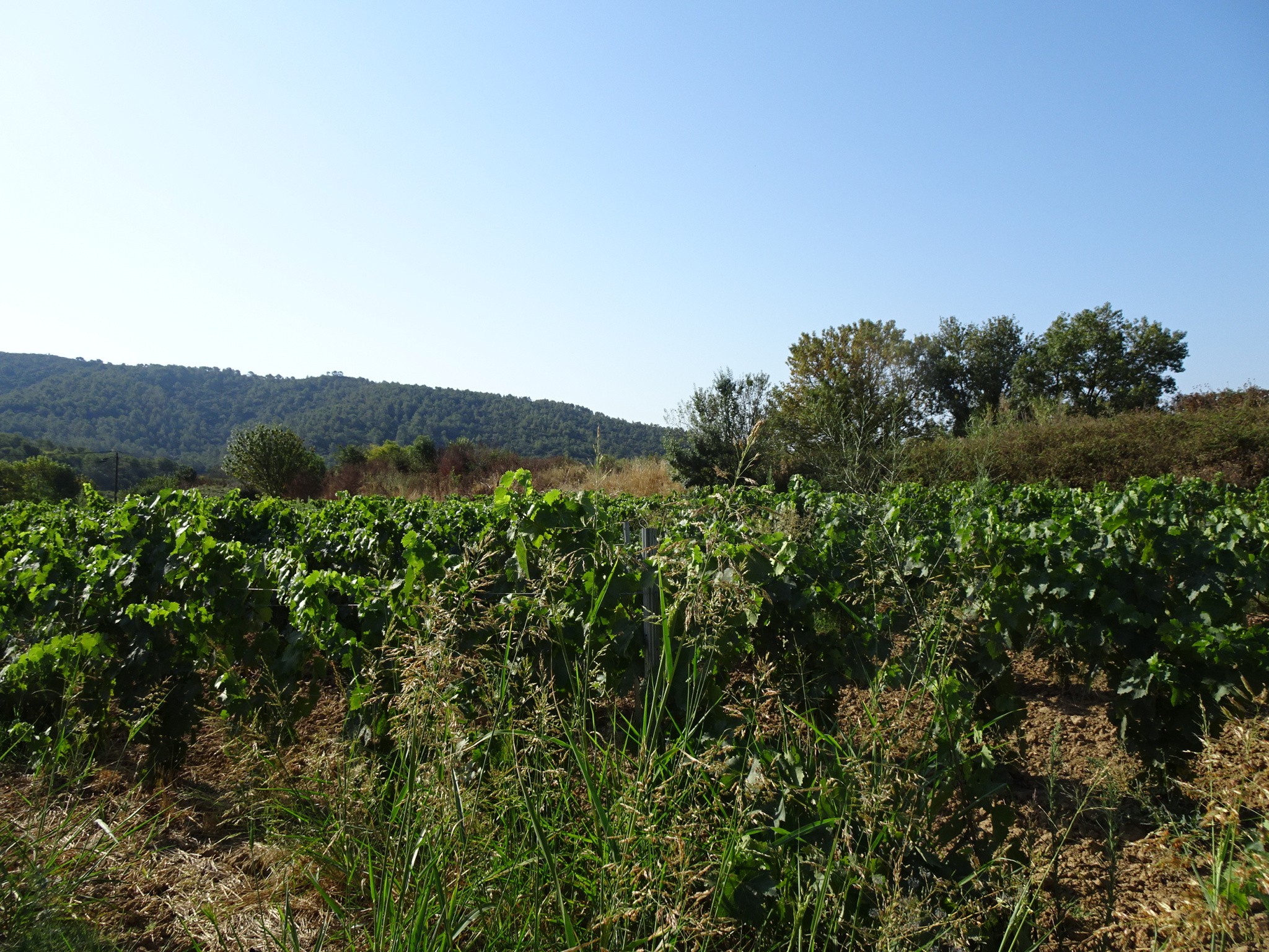 Vente Maison à Hyères 8 pièces