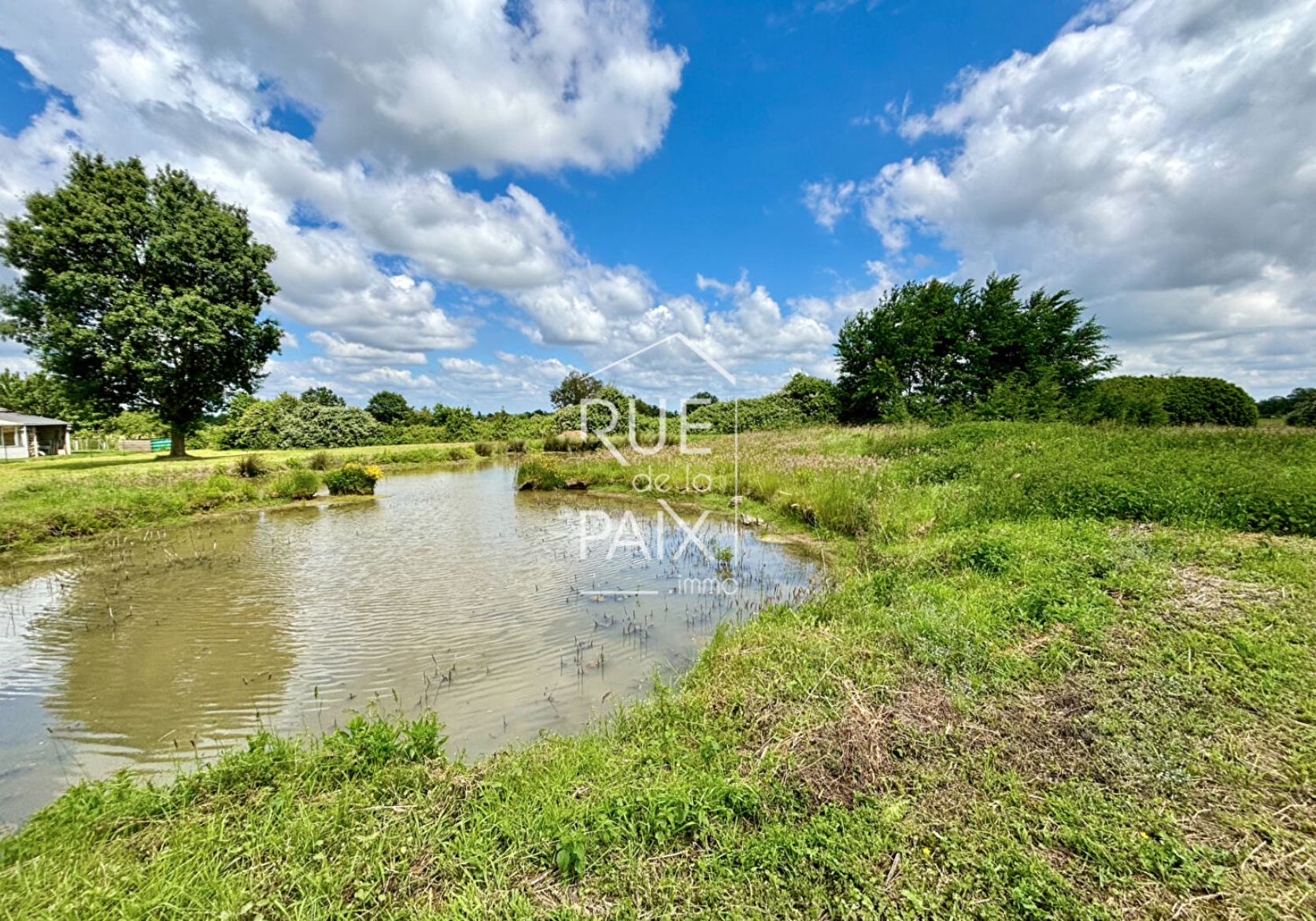 Vente Maison à Chemillé-Melay 5 pièces