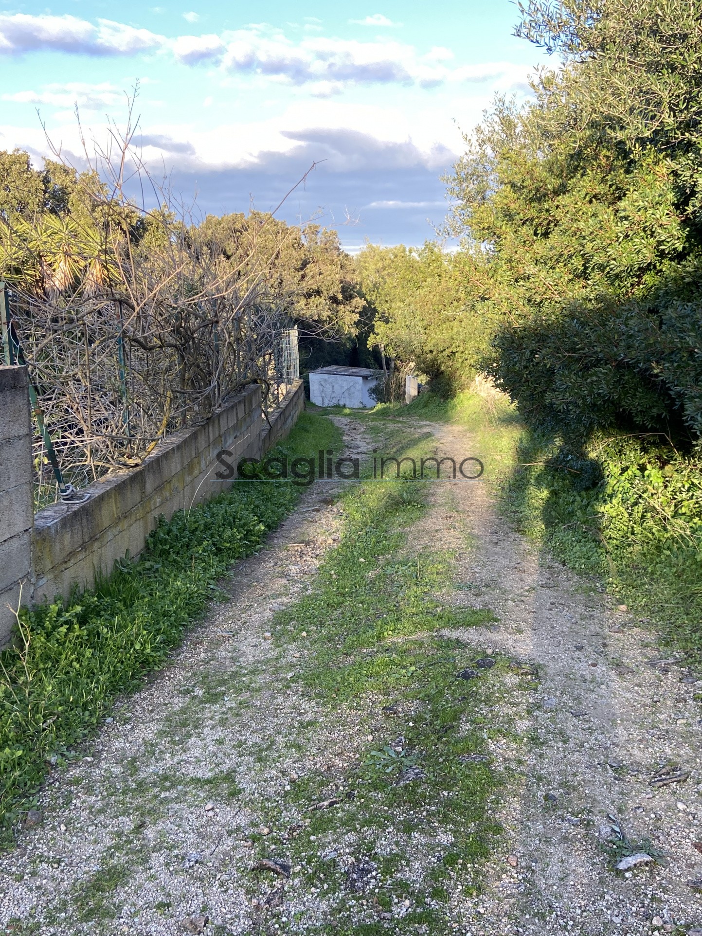 Vente Terrain à Porto-Vecchio 0 pièce