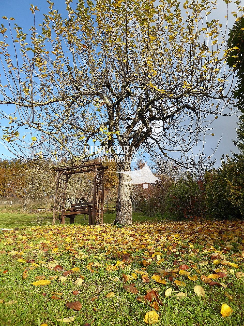 Vente Maison à Ribérac 5 pièces