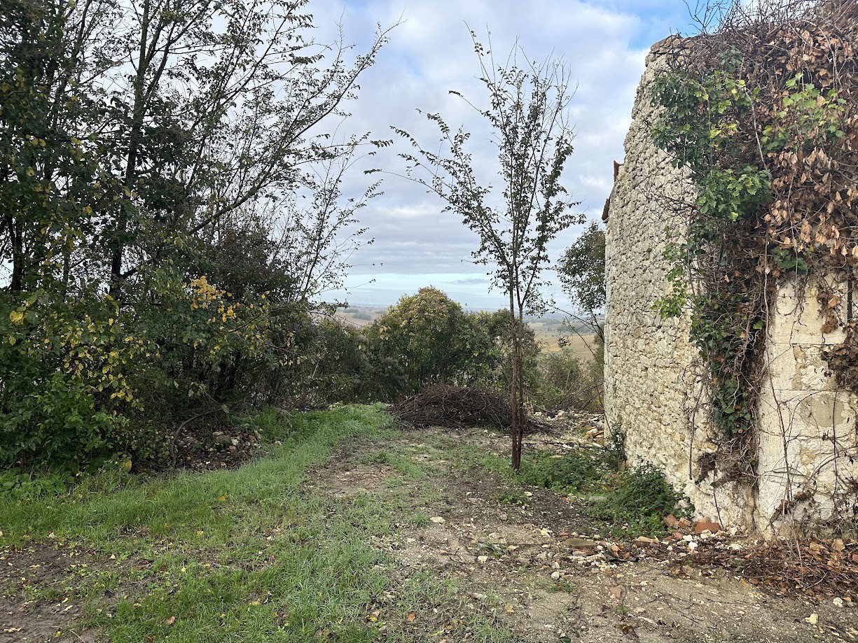 Vente Maison à Fleurance 1 pièce