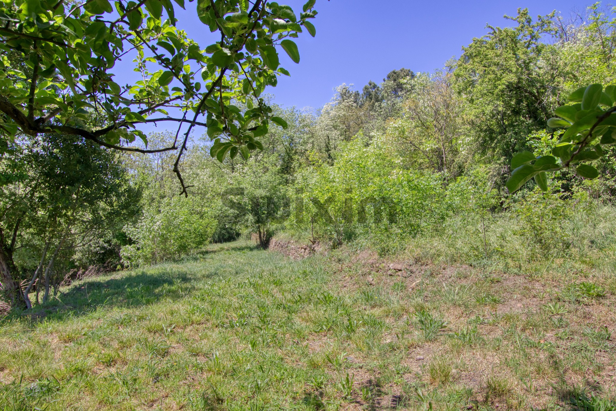 Vente Maison à Alès 5 pièces