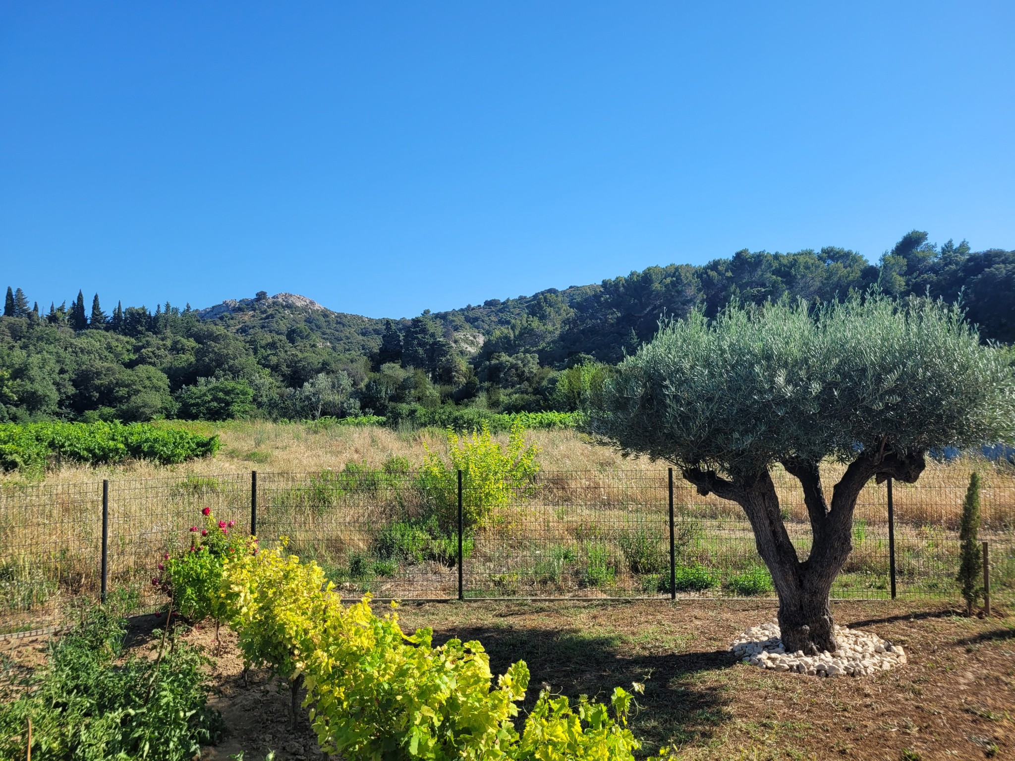 Vente Maison à Uzès 8 pièces