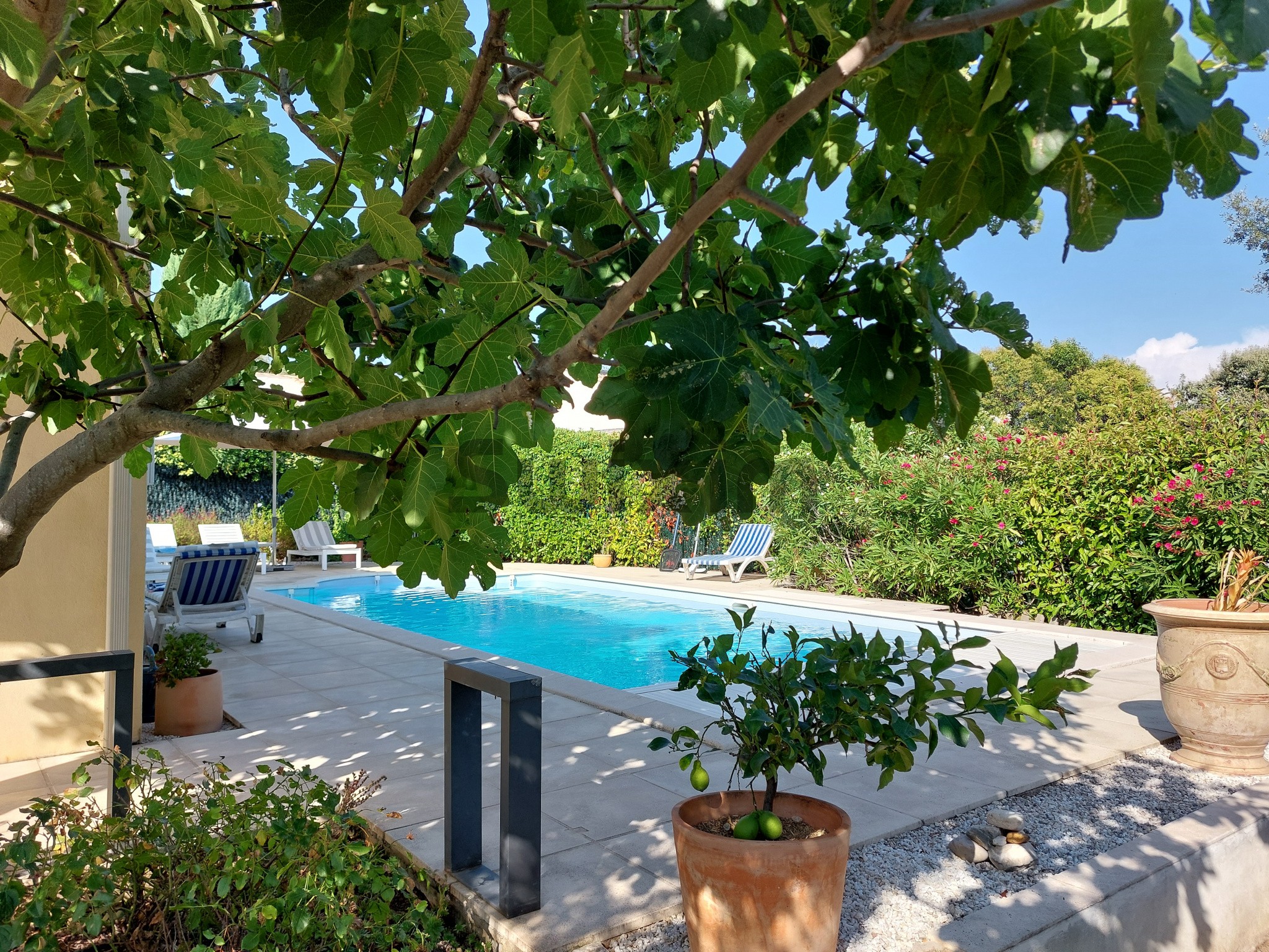 Vente Maison à Uzès 6 pièces