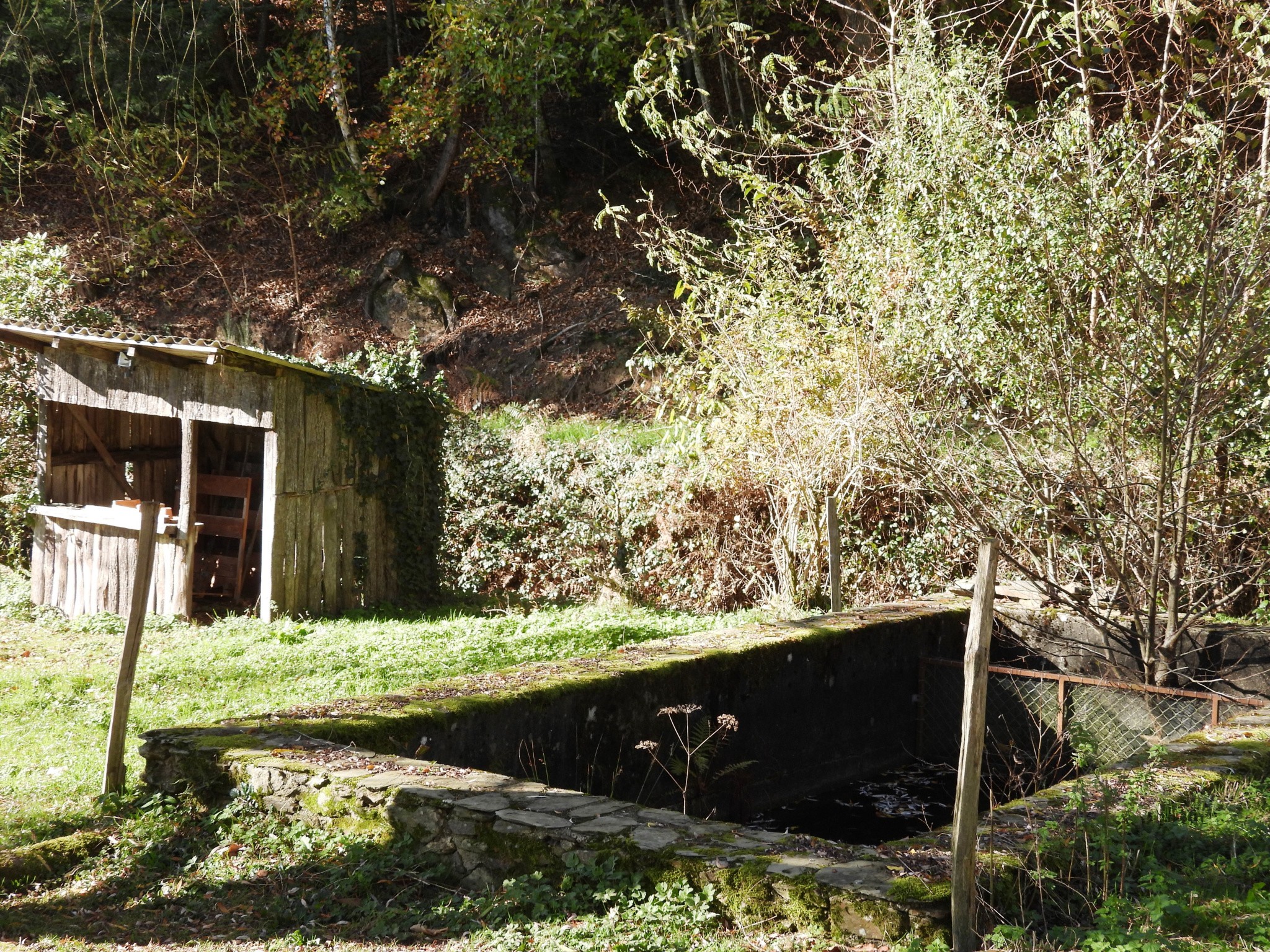 Vente Maison à Sansac-Veinazès 5 pièces