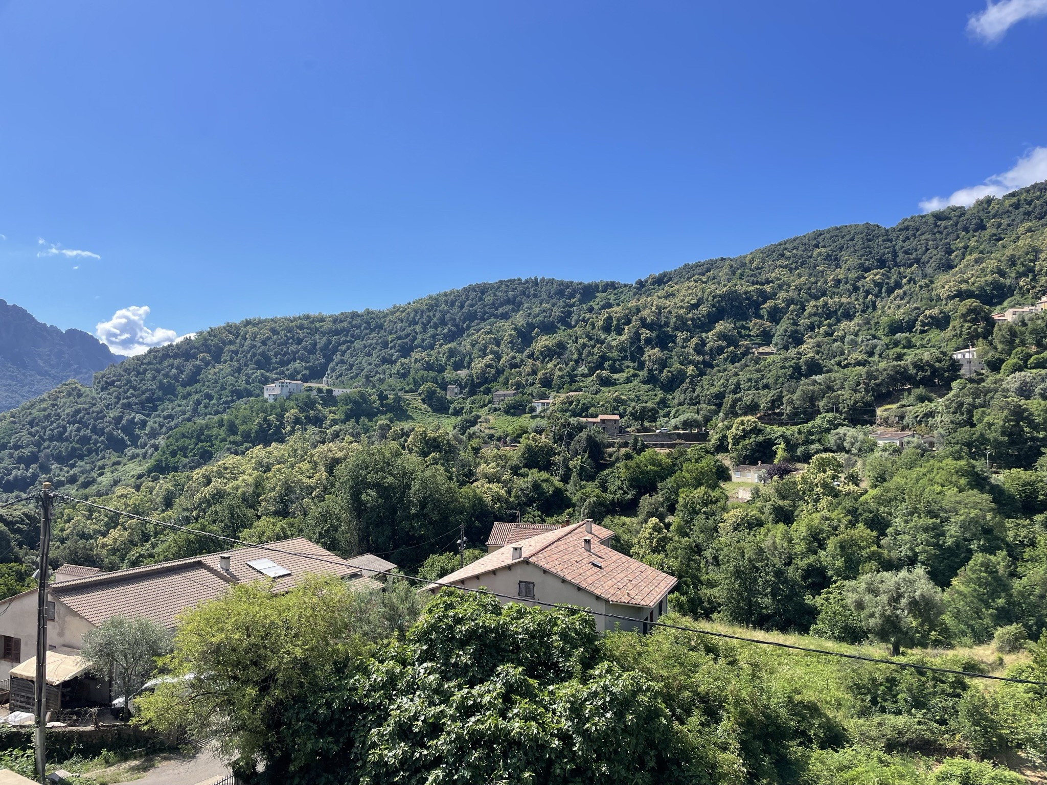 Vente Appartement à Vico 3 pièces